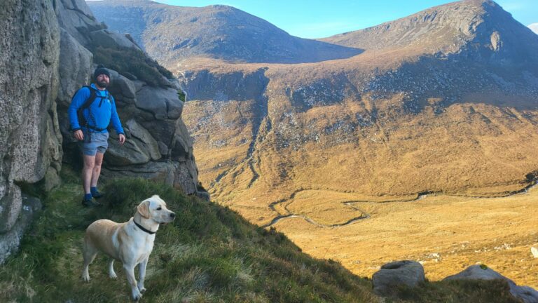 Dog in the Mourne Mountains at pet friendly accommodation