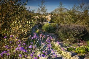 The Gardens at Willowtree Retreats